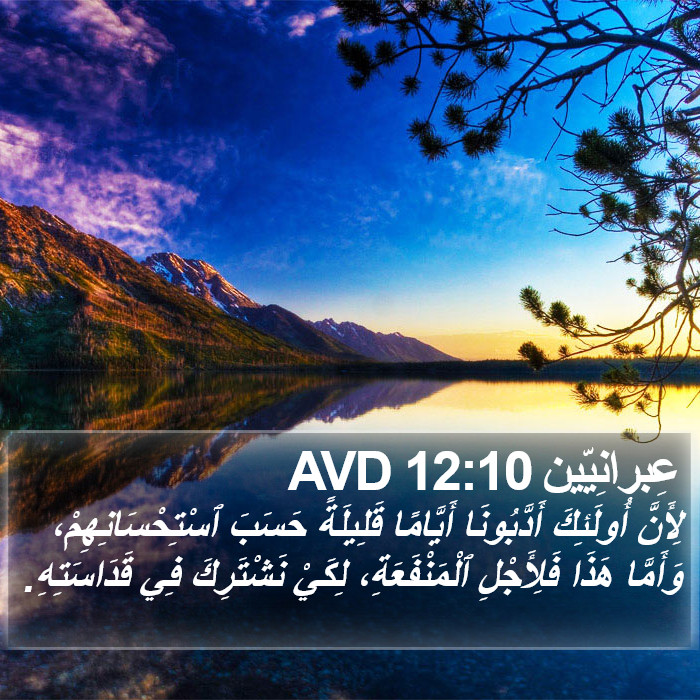 عِبرانِيّين 12:10 AVD Bible Study
