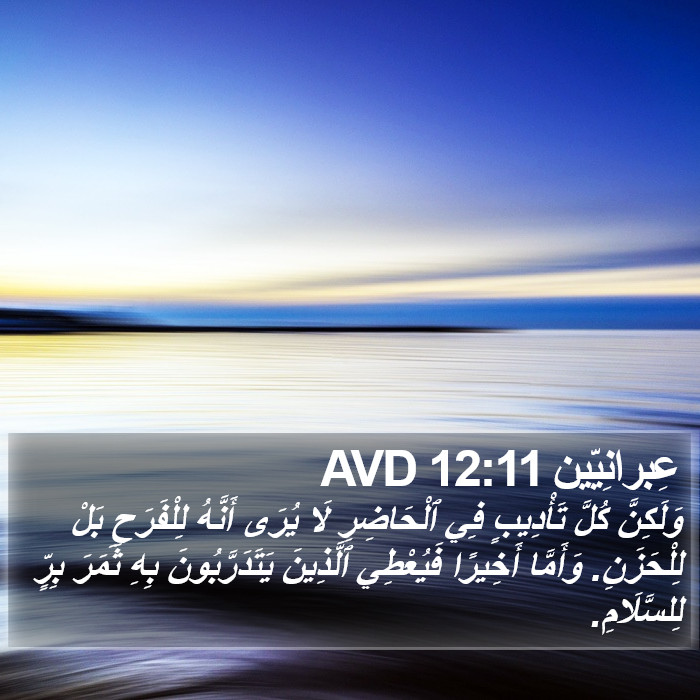 عِبرانِيّين 12:11 AVD Bible Study