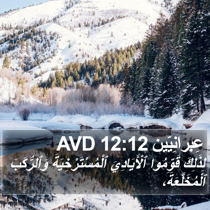 عِبرانِيّين 12:12 AVD Bible Study