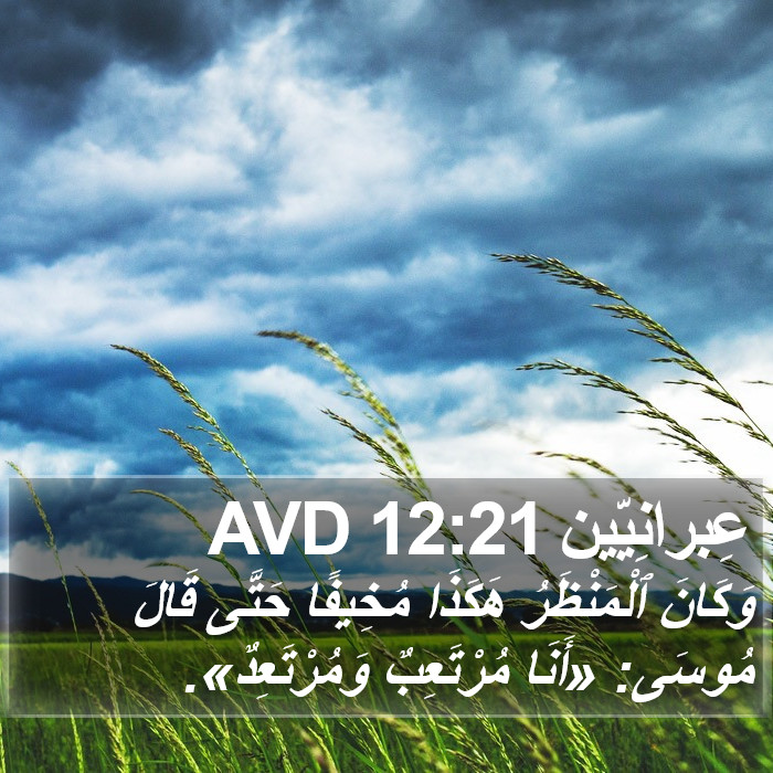 عِبرانِيّين 12:21 AVD Bible Study