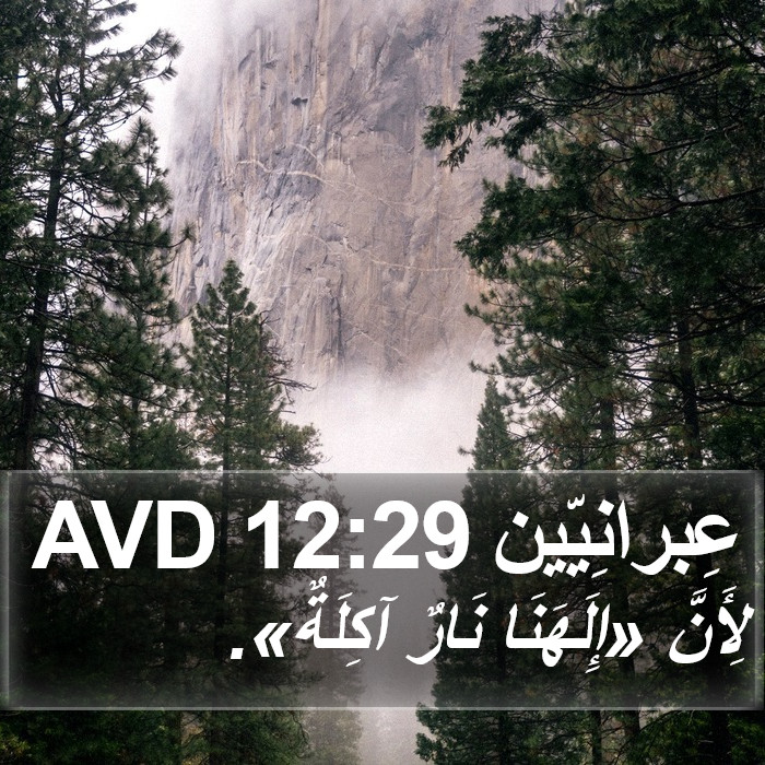 عِبرانِيّين 12:29 AVD Bible Study