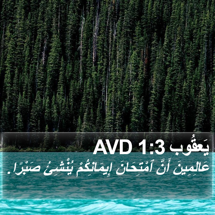 يَعقُوب 1:3 AVD Bible Study