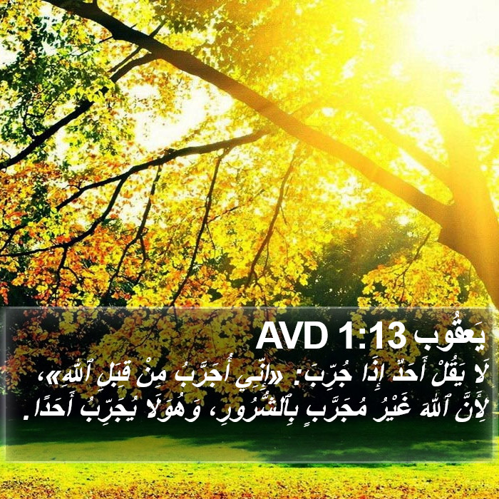 يَعقُوب 1:13 AVD Bible Study