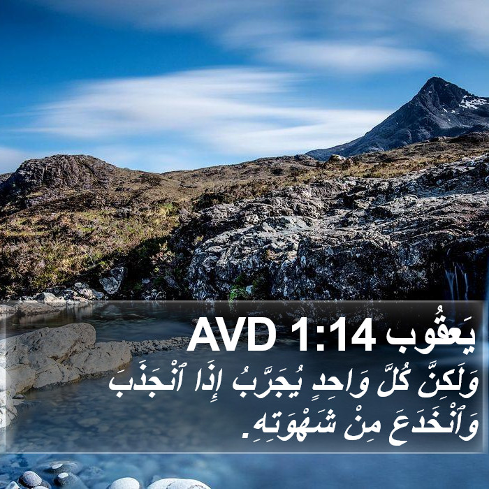 يَعقُوب 1:14 AVD Bible Study