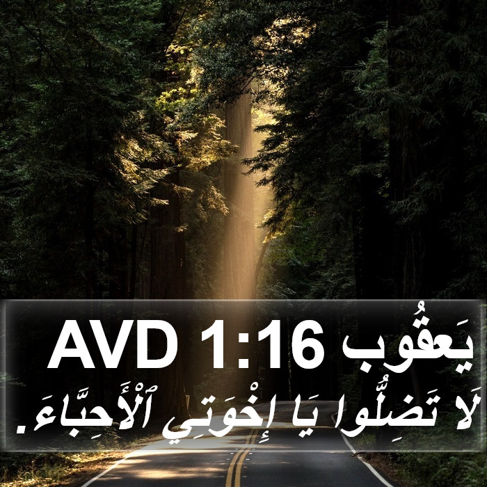 يَعقُوب 1:16 AVD Bible Study