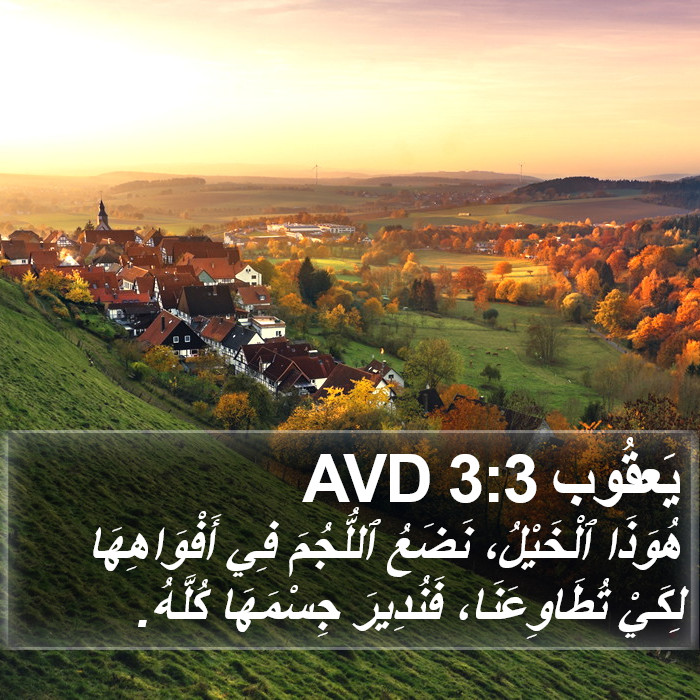 يَعقُوب 3:3 AVD Bible Study