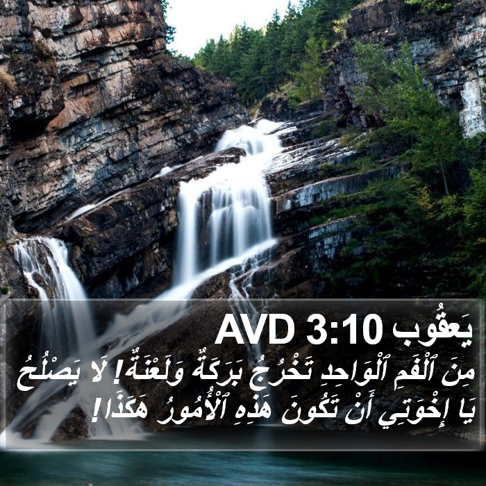 يَعقُوب 3:10 AVD Bible Study