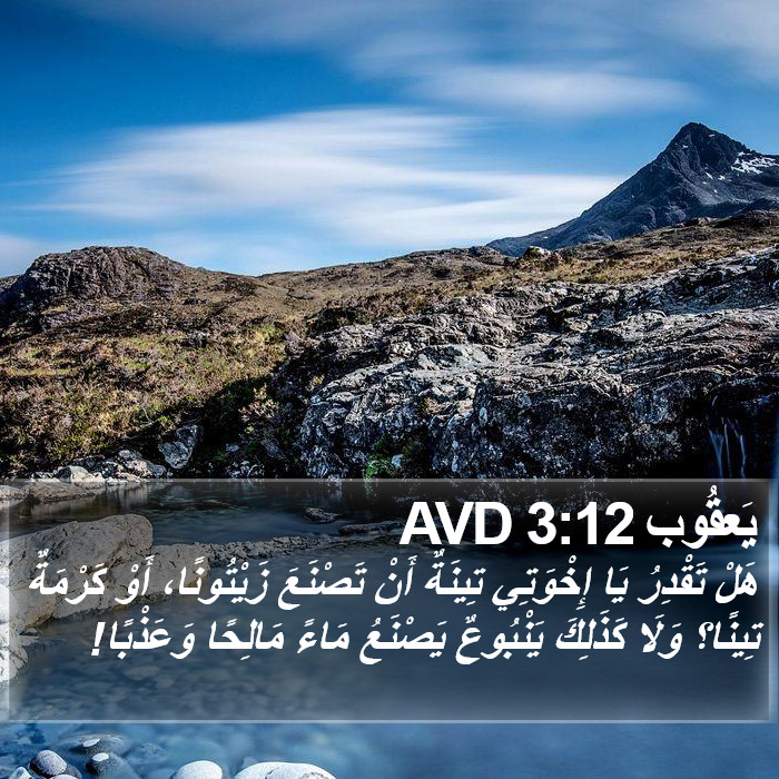 يَعقُوب 3:12 AVD Bible Study