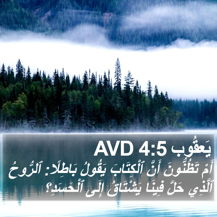 يَعقُوب 4:5 AVD Bible Study