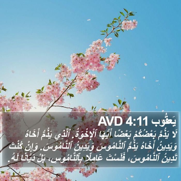 يَعقُوب 4:11 AVD Bible Study