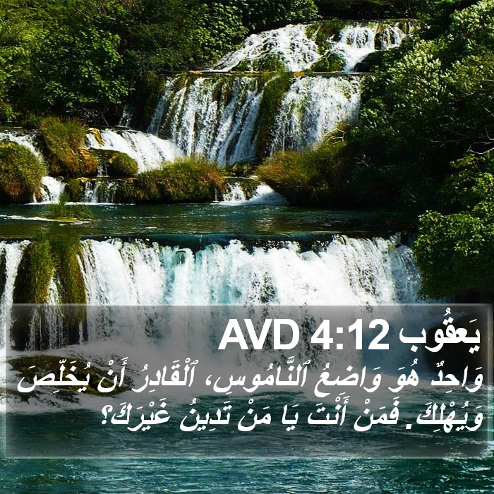 يَعقُوب 4:12 AVD Bible Study