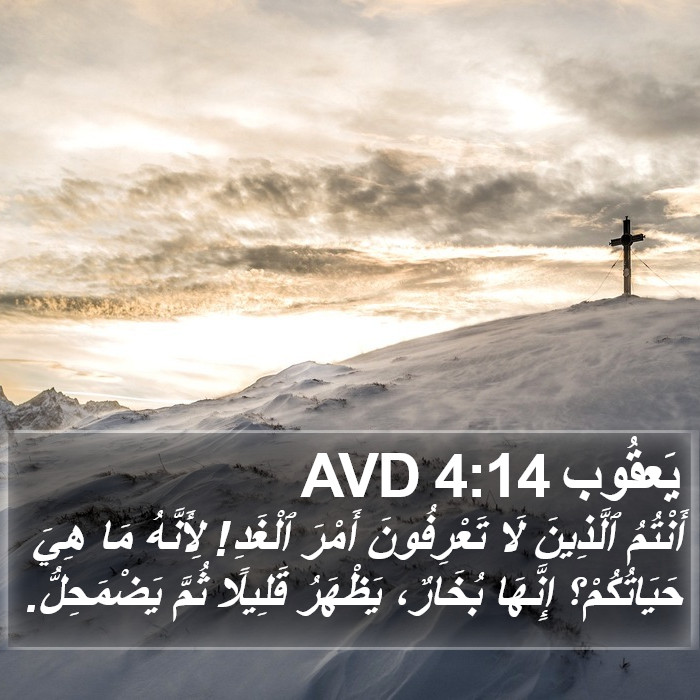 يَعقُوب 4:14 AVD Bible Study