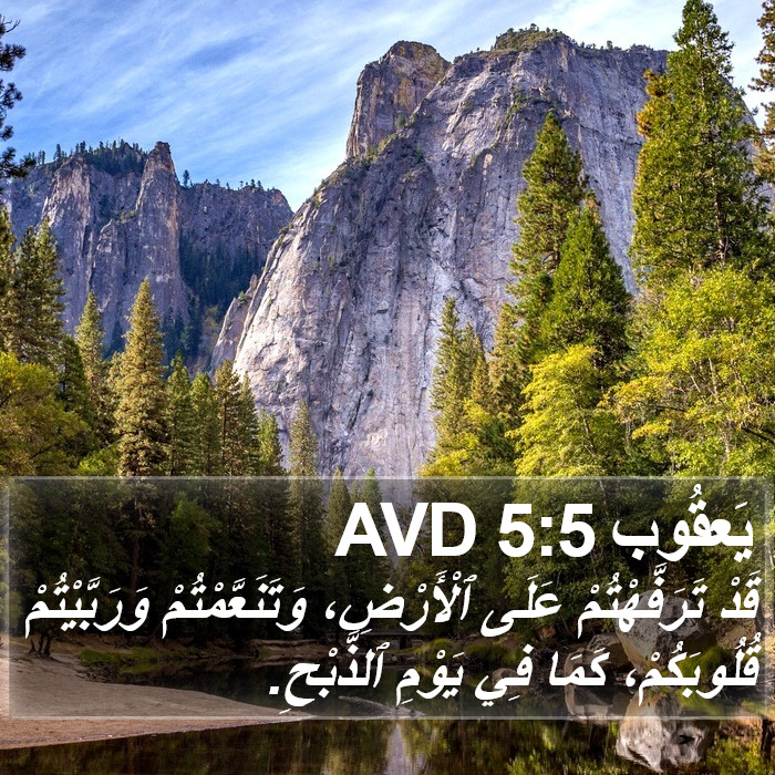 يَعقُوب 5:5 AVD Bible Study