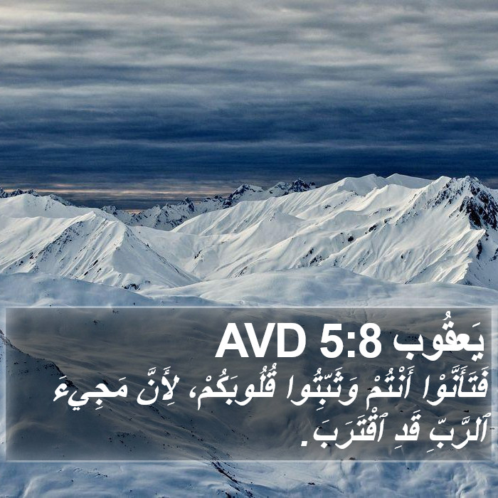 يَعقُوب 5:8 AVD Bible Study