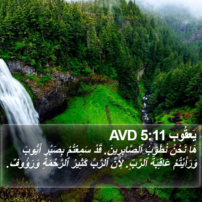 يَعقُوب 5:11 AVD Bible Study