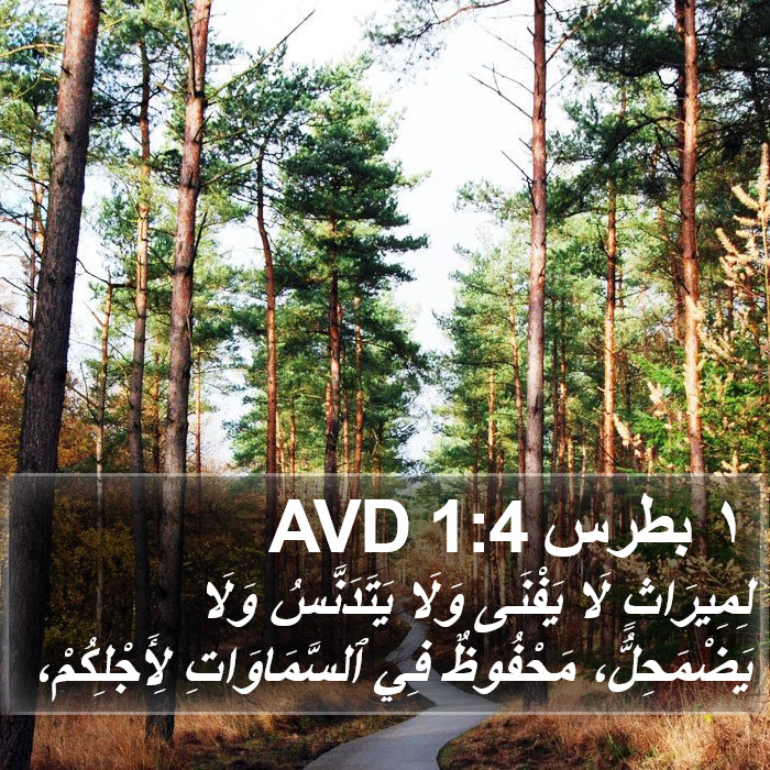 ١ بطرس 1:4 AVD Bible Study