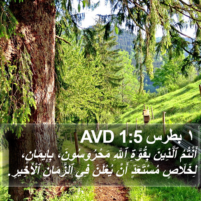 ١ بطرس 1:5 AVD Bible Study