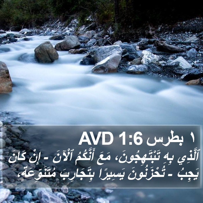 ١ بطرس 1:6 AVD Bible Study