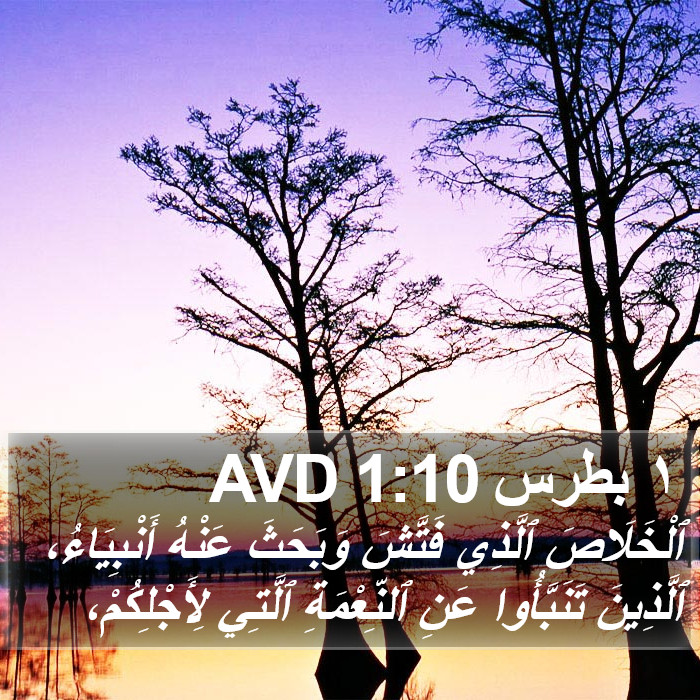 ١ بطرس 1:10 AVD Bible Study