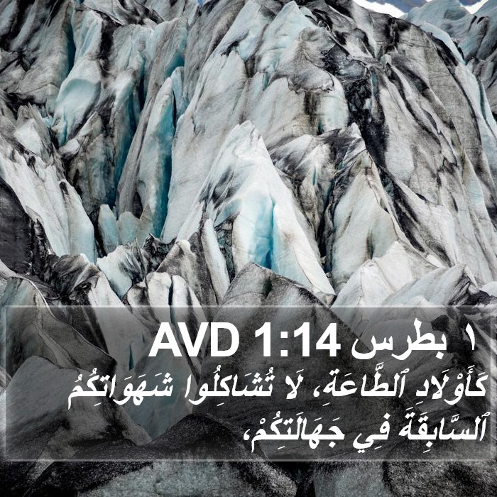 ١ بطرس 1:14 AVD Bible Study