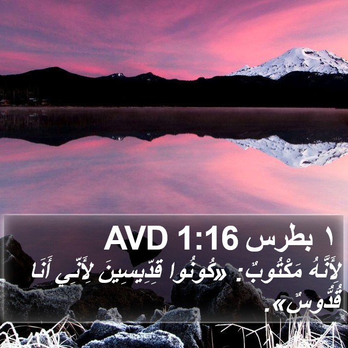 ١ بطرس 1:16 AVD Bible Study