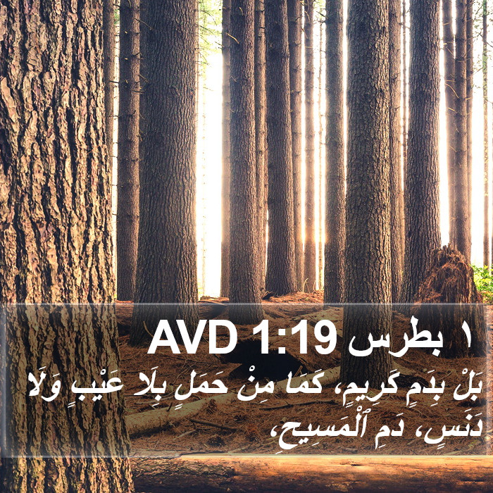 ١ بطرس 1:19 AVD Bible Study