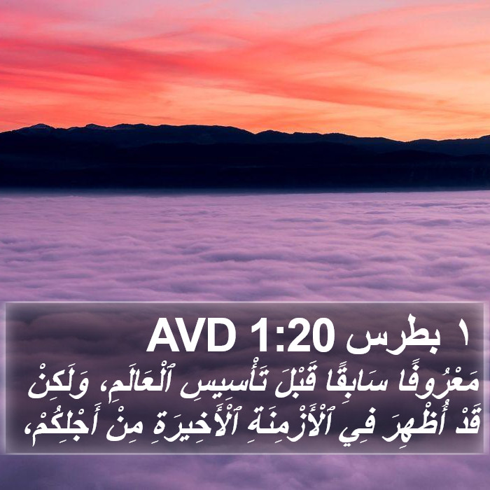 ١ بطرس 1:20 AVD Bible Study