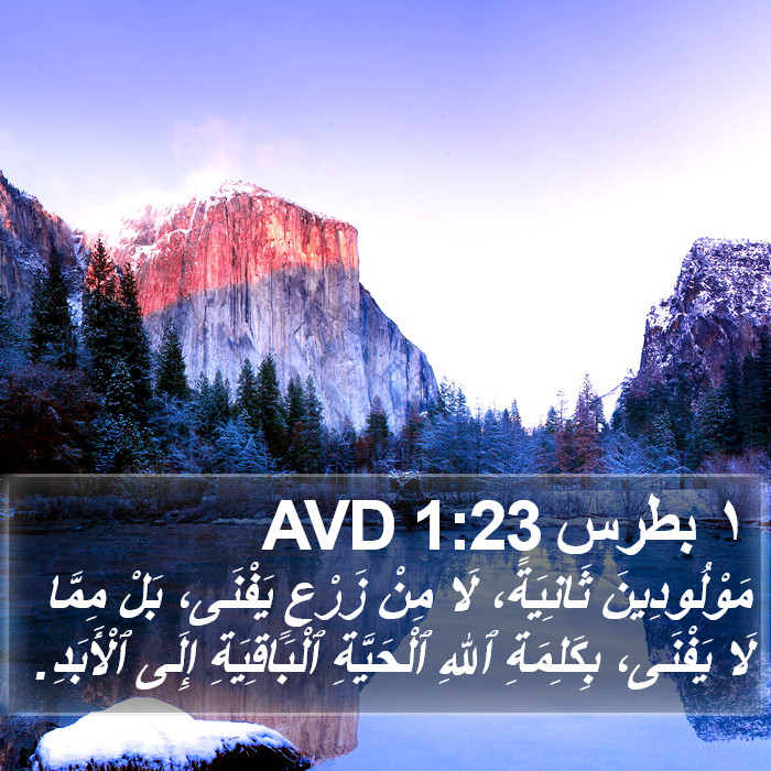 ١ بطرس 1:23 AVD Bible Study