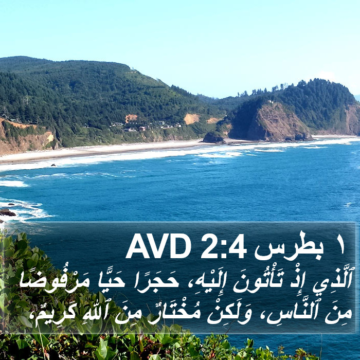 ١ بطرس 2:4 AVD Bible Study