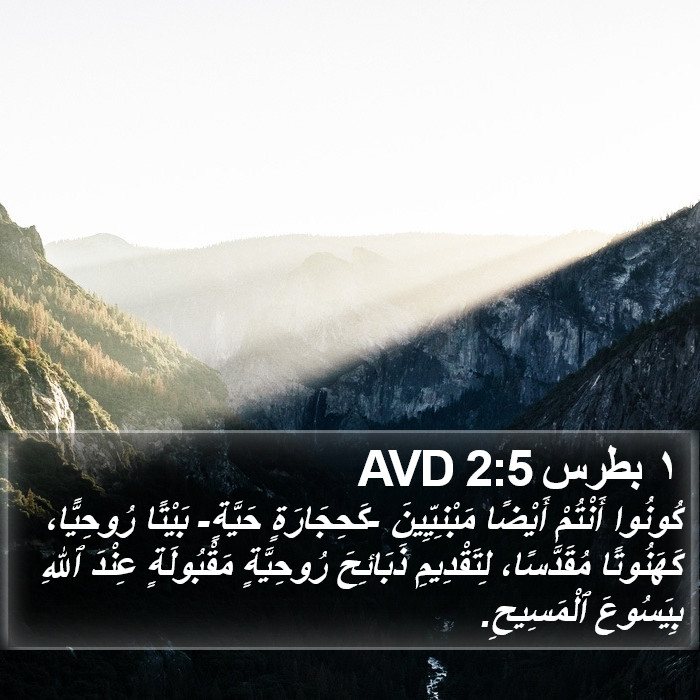 ١ بطرس 2:5 AVD Bible Study