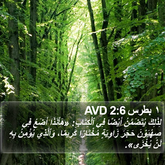 ١ بطرس 2:6 AVD Bible Study