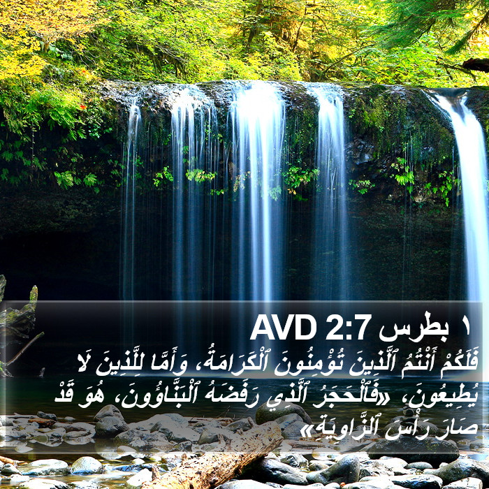 ١ بطرس 2:7 AVD Bible Study