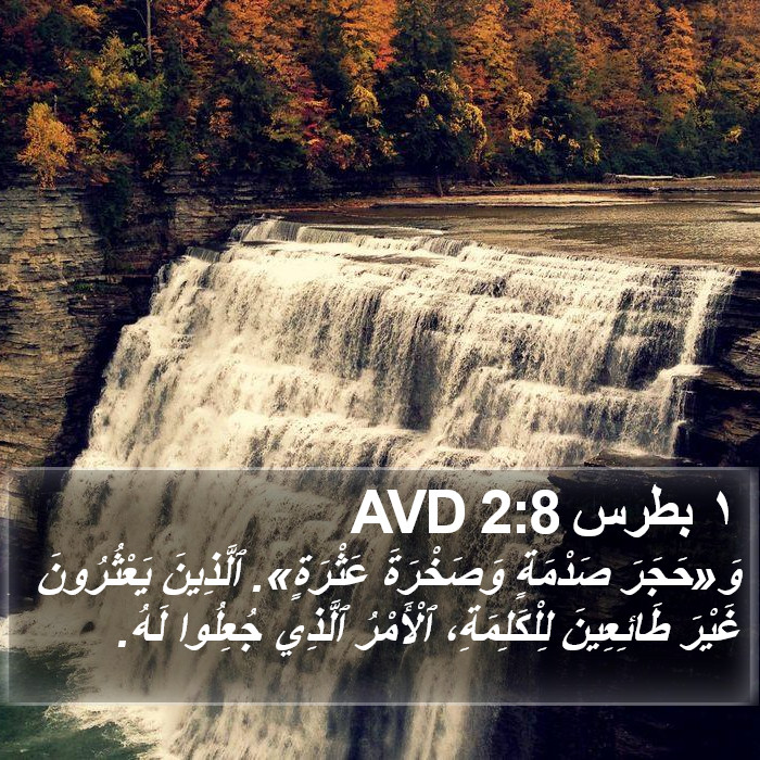 ١ بطرس 2:8 AVD Bible Study