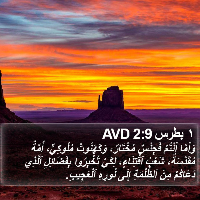 ١ بطرس 2:9 AVD Bible Study