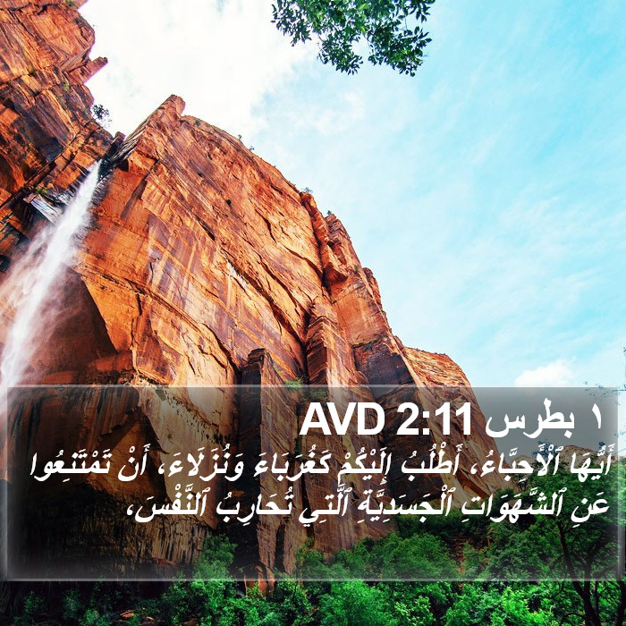 ١ بطرس 2:11 AVD Bible Study