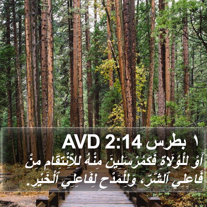 ١ بطرس 2:14 AVD Bible Study