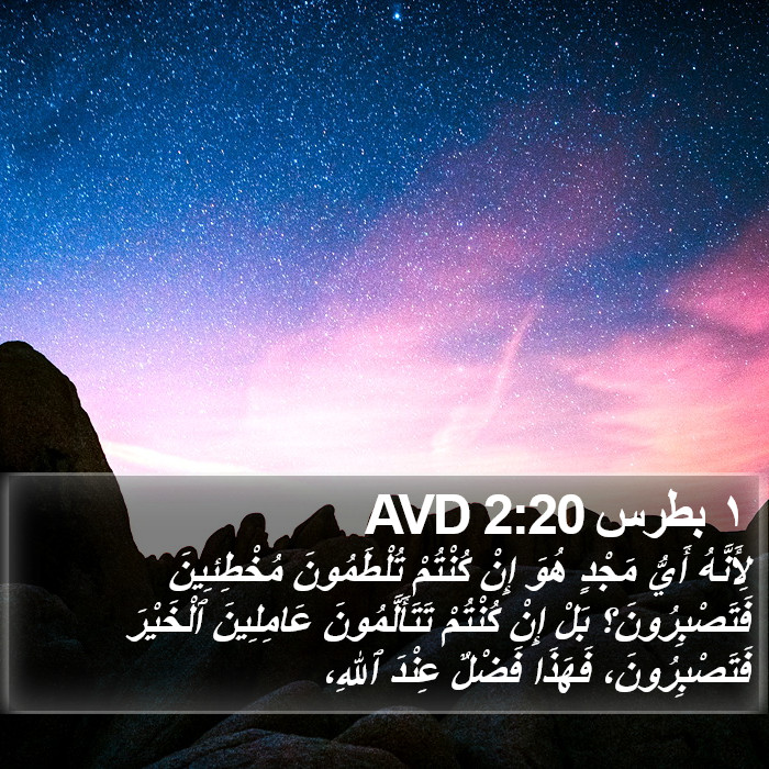 ١ بطرس 2:20 AVD Bible Study