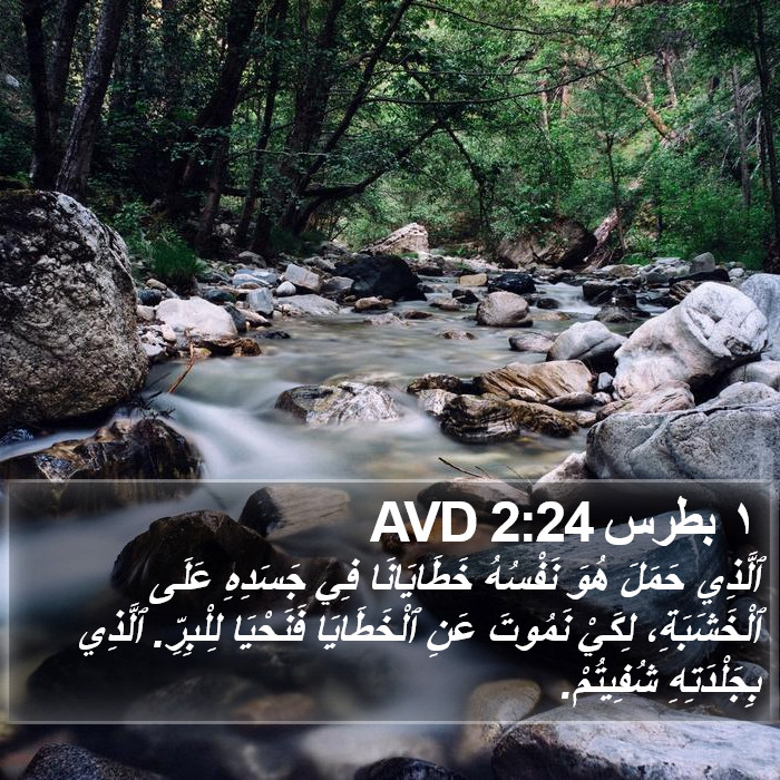 ١ بطرس 2:24 AVD Bible Study