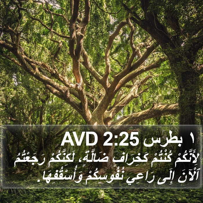 ١ بطرس 2:25 AVD Bible Study