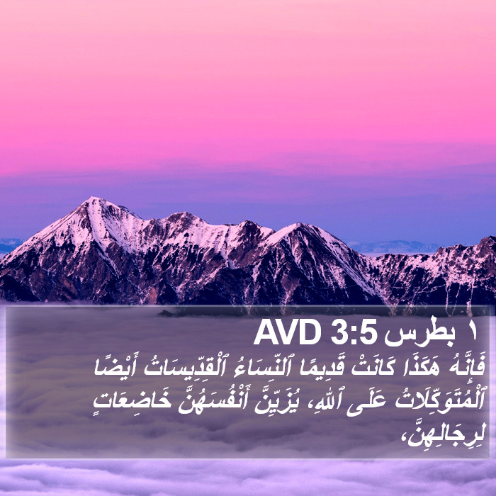 ١ بطرس 3:5 AVD Bible Study