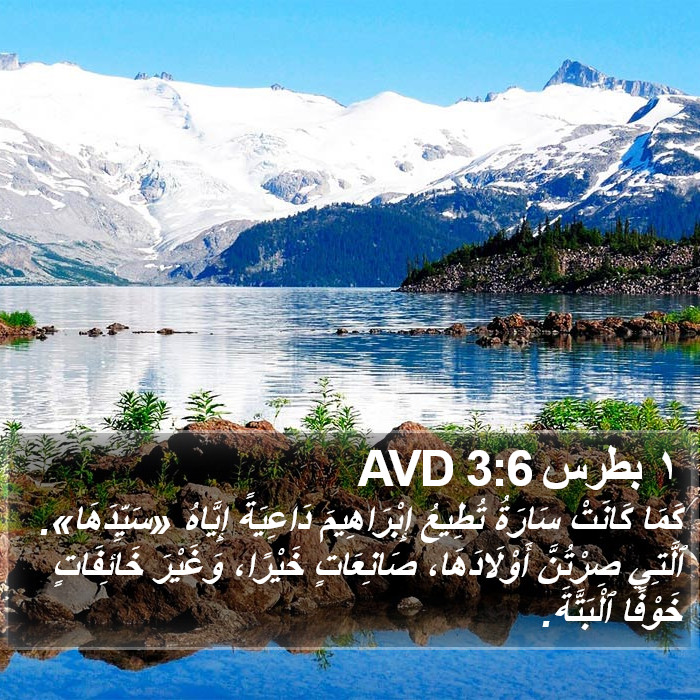 ١ بطرس 3:6 AVD Bible Study