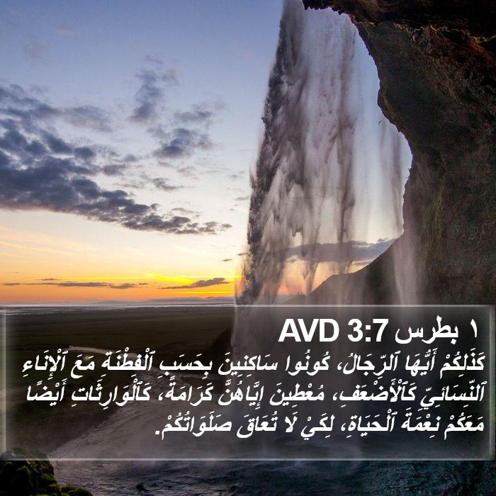 ١ بطرس 3:7 AVD Bible Study