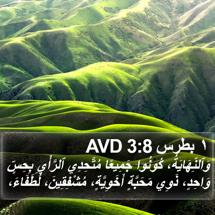 ١ بطرس 3:8 AVD Bible Study