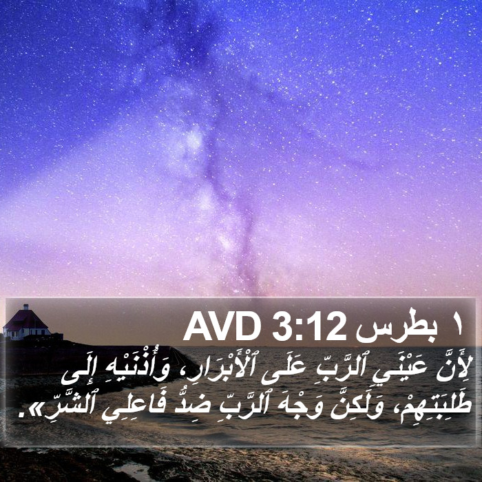 ١ بطرس 3:12 AVD Bible Study