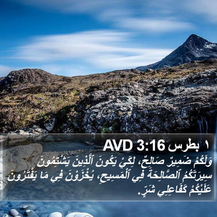 ١ بطرس 3:16 AVD Bible Study