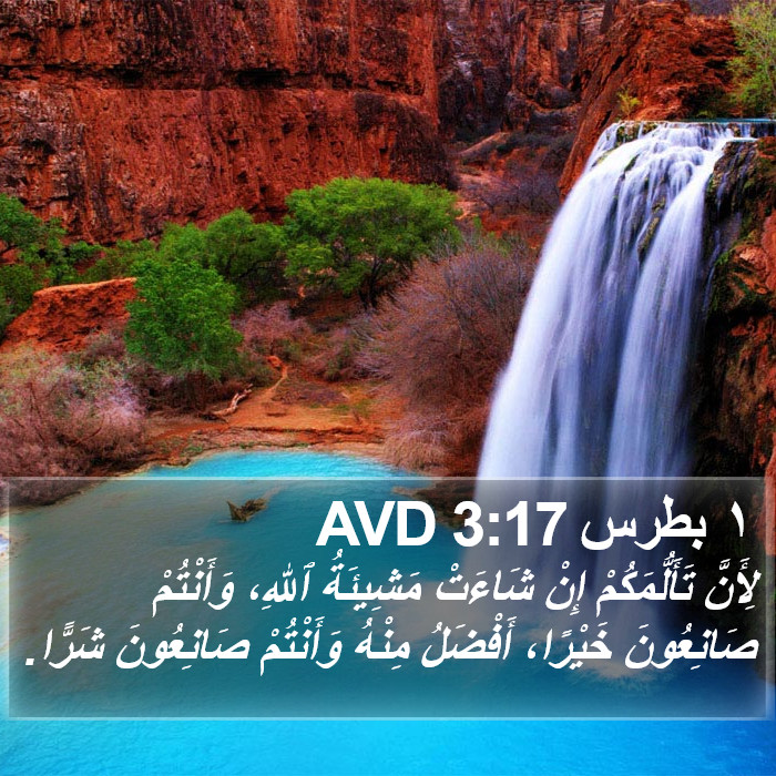 ١ بطرس 3:17 AVD Bible Study