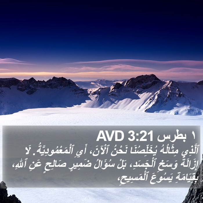 ١ بطرس 3:21 AVD Bible Study
