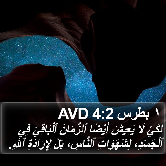 ١ بطرس 4:2 AVD Bible Study