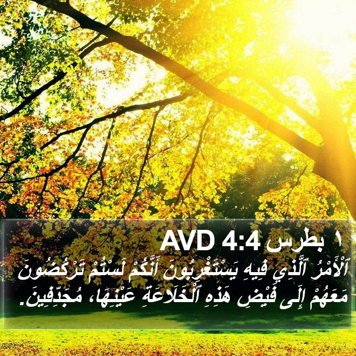 ١ بطرس 4:4 AVD Bible Study