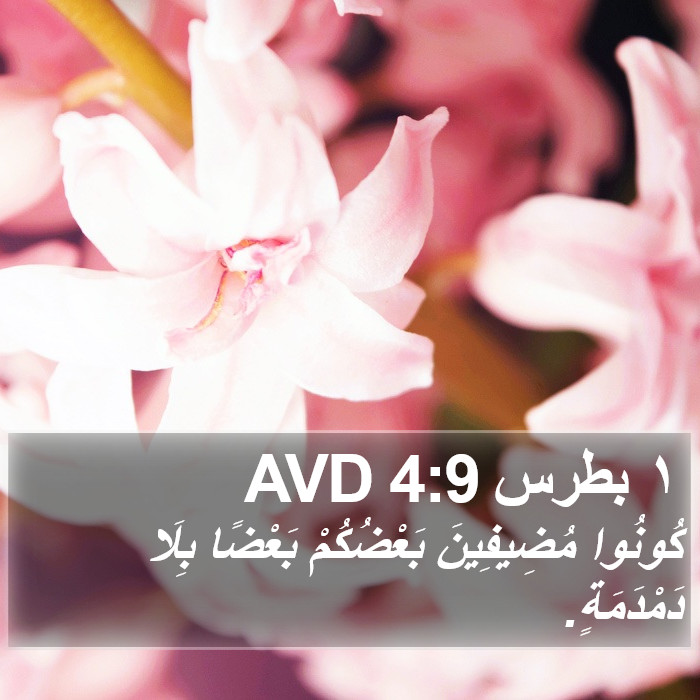 ١ بطرس 4:9 AVD Bible Study